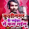 About Kushinagar Ke Laika Se Fas Gailu Song